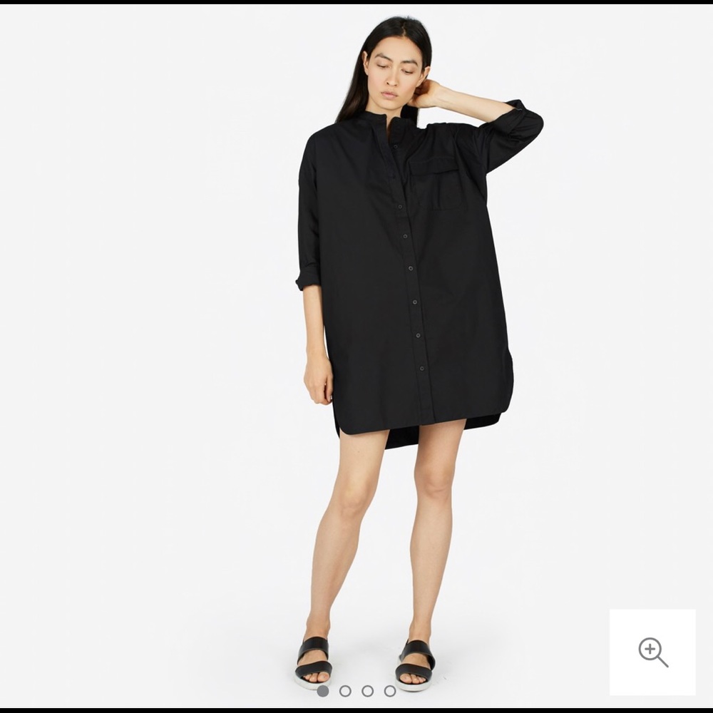 Everlane Oversized Cotton Poplin Shirt Dress